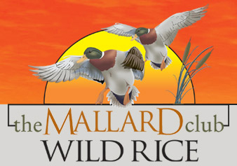 Wild Rice Direct